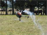 IMG_1018